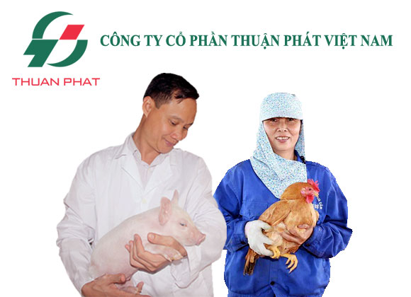 Công ty HC Việt Nam